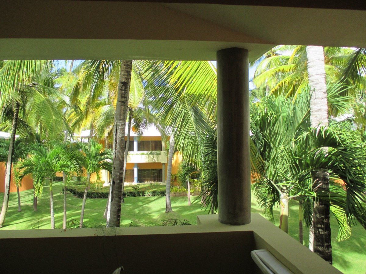 Vista desde un balcón: jardín tropical con palmeras y edificios residenciales de techos de teja.