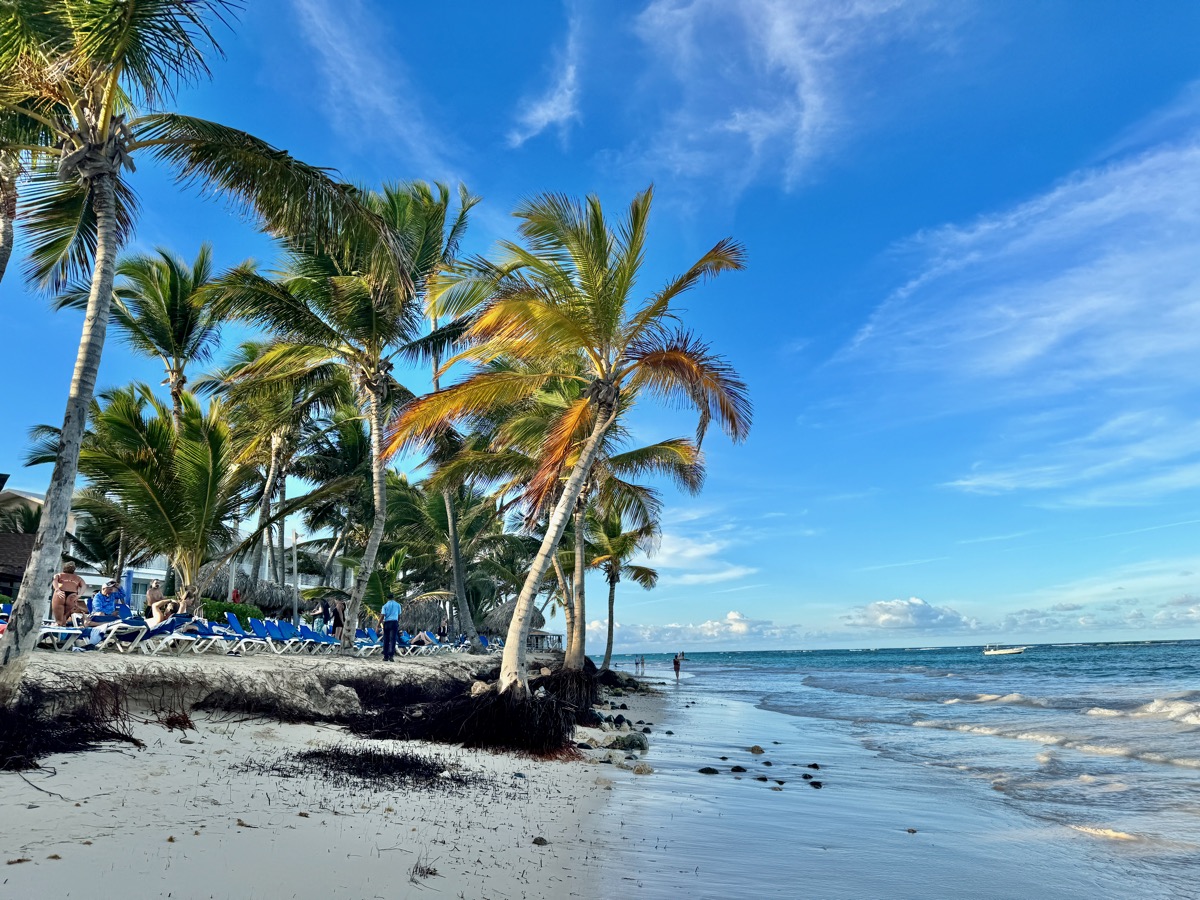 Playa Bávaro: palmeras inclinadas sobre la arena y tumbonas a la sombra, frente al mar.