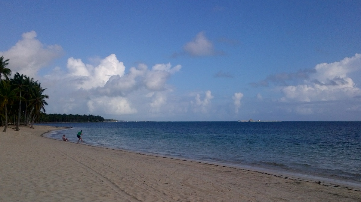 Playa amplia y tranquila de la costa este, con arena clara y palmeras al fondo.