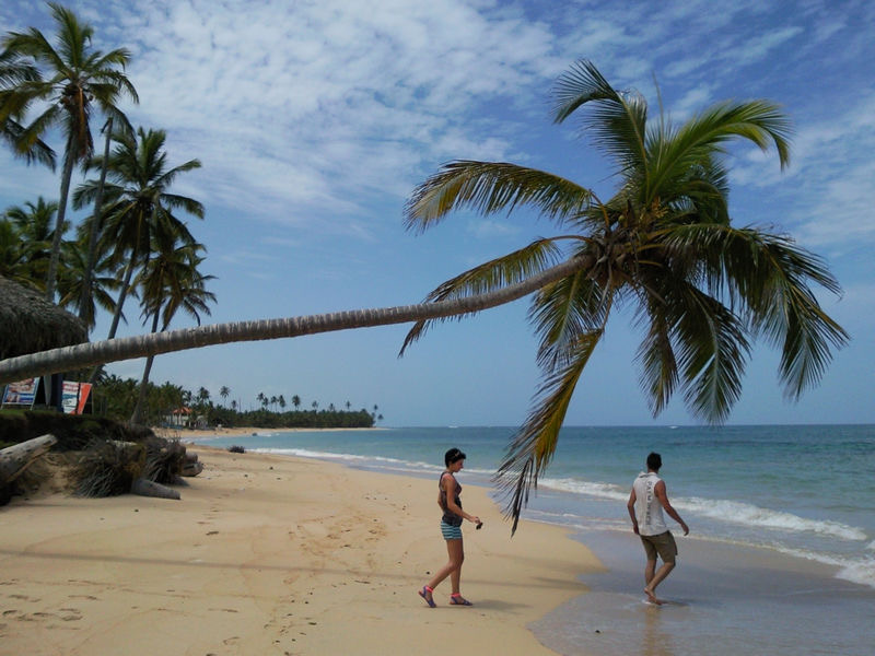 Playa de Uvero Alto con una palmera inclinada sobre la arena.